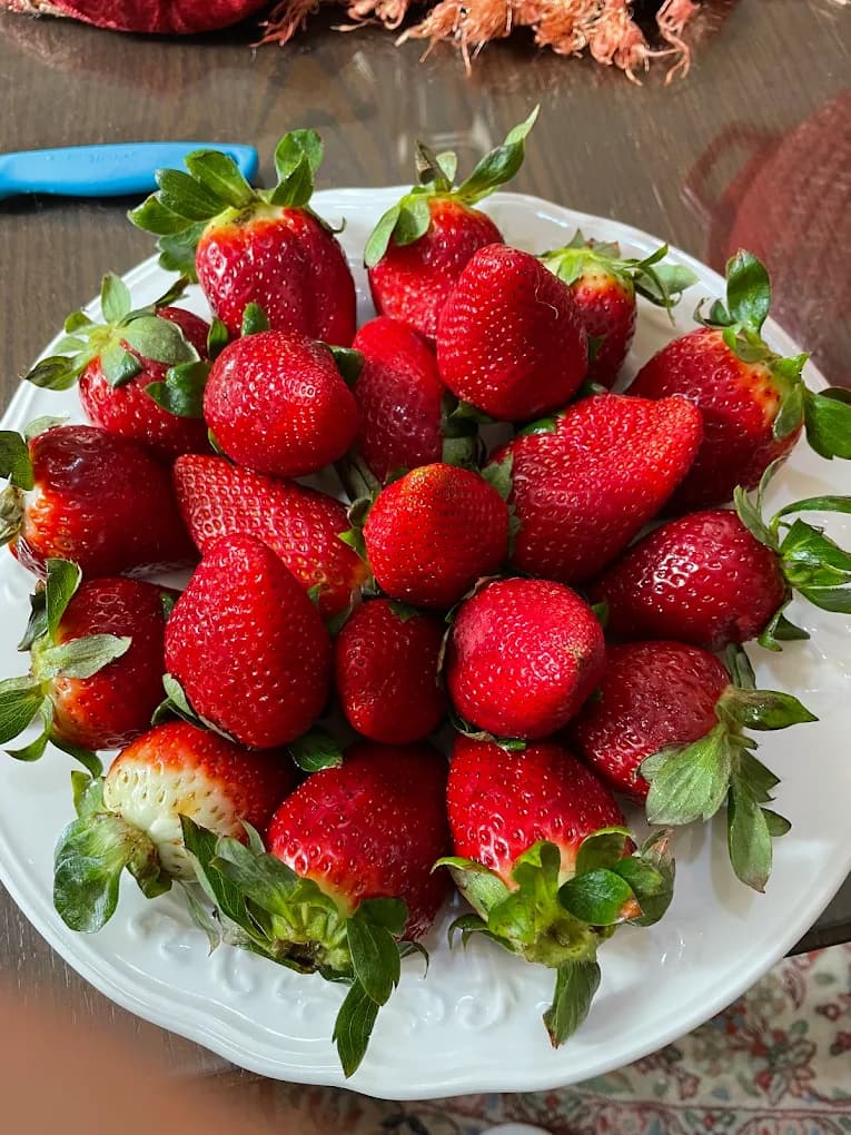 Speranza Cafe Gallery 9